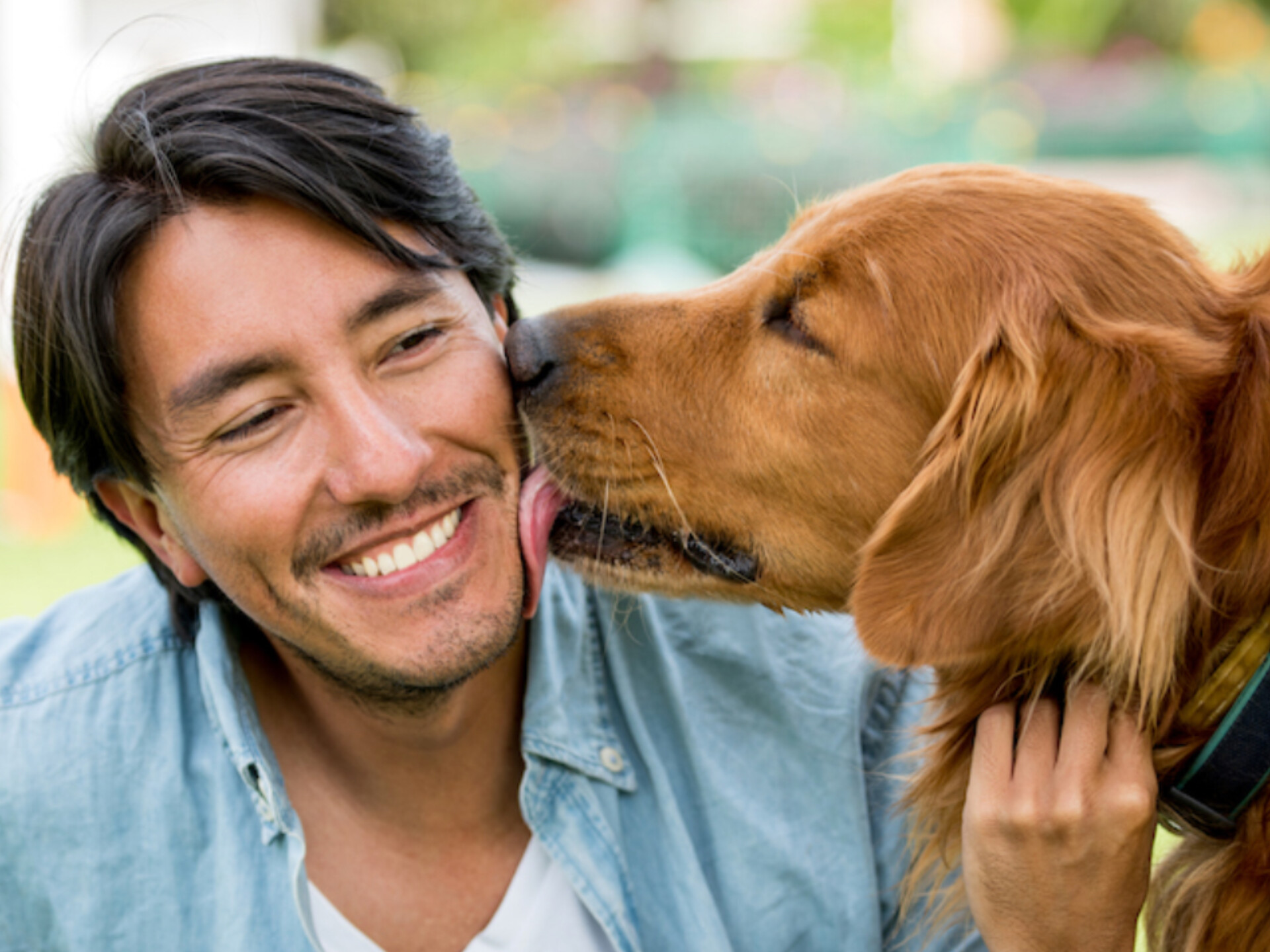 5 Important Benefits of Keeping a Dog as a Companion